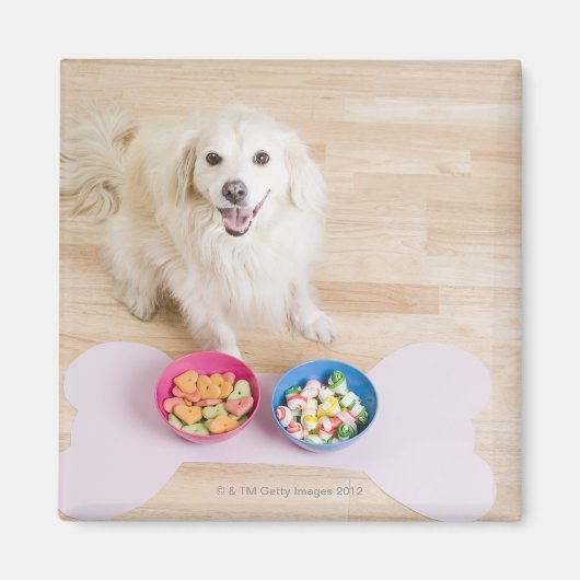 Eingeweide vor zwei Schüsseln mit Hund sitzen Magnet (Vorne)