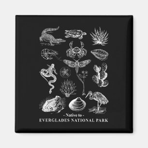 Einheimisch im Everglades National Park Naturliebh Magnet
