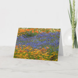 Einheimische Blume, Kapstadt Feiertagskarte