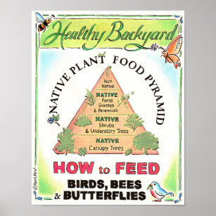 Einheimische Pflanze Fütterte Vögel, Bienen und Sc Poster