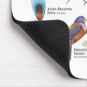 Einheimische Vögel auf den Philippinen Mousepad (Ecke)
