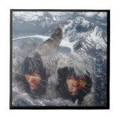 Einheimischer Geist in Alaska Fliese (Vorderseite)