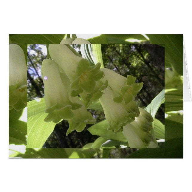 Einheit (Vorderseite (Horizontal))