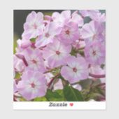 Einheitsblüte – Rosa Phlox Aufkleber (Blatt)