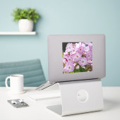 Einheitsblüte – Rosa Phlox Aufkleber (Laptop auf Schreibtisch)