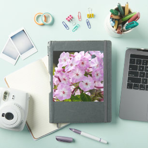 Einheitsblüte – Rosa Phlox Aufkleber