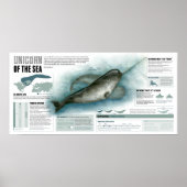 Einhorn der See Poster (Vorne)