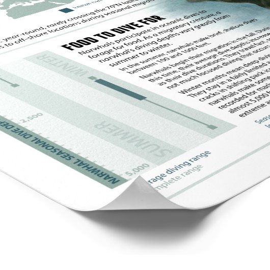 Einhorn der See Poster (Ecke)