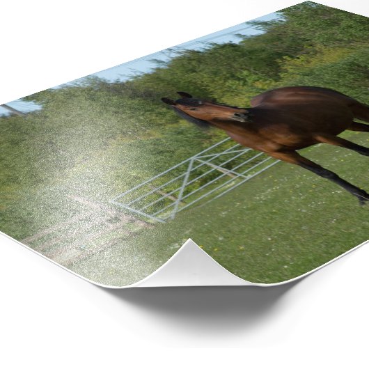 Einhorn Fotodruck (Ecke)