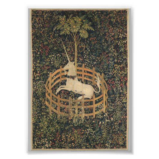 Einhorn in Gefangenschaft Fotodruck (Vorne)