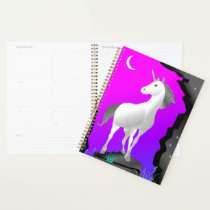 Einhorn Planer