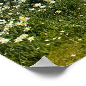 Einhorn Poster (Ecke)