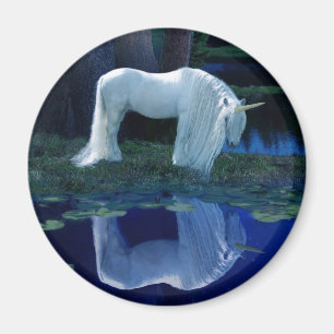 Einhorn-Reflexion Magnet