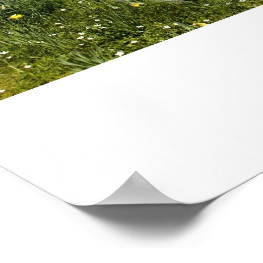 Einhorn und Feen Poster (Ecke)