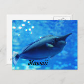 Einhornfisch Postkarte (Vorne/Hinten)