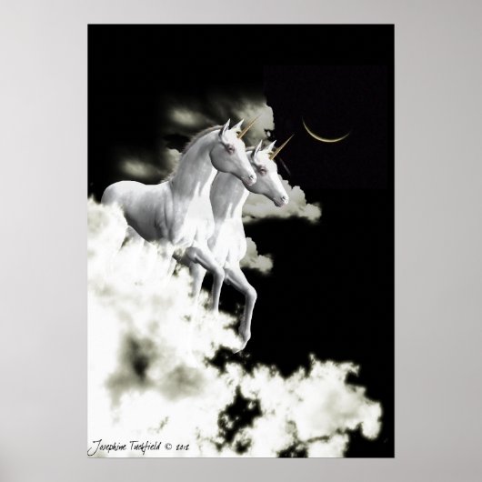 Einhornträumen Poster (Vorne)
