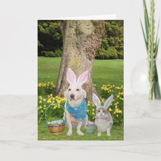 Einige Bunnies Liebe Sie! Feiertagskarte (Vorderseite)