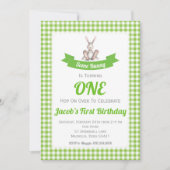 Einige Bunny Green Gingham Birthday Einladung (Vorderseite)