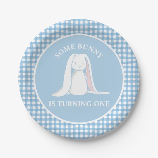 Einige Bunny ist One blue Gingham Birthday Pappteller (Vorderseite)