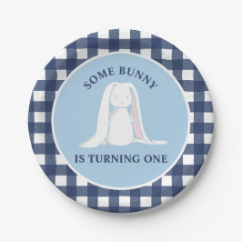 Einige Bunny ist One blue Gingham Birthday Pappteller