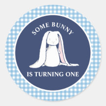 Einige Bunny ist One blue Gingham Birthday