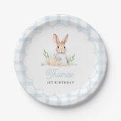 Einige Bunny Pastel Spring Blue Gingham 1. Geburts Pappteller (Vorderseite)