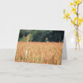 Einige erhalten eine höhere Höhenkarte Karte (Gelbe Blume)