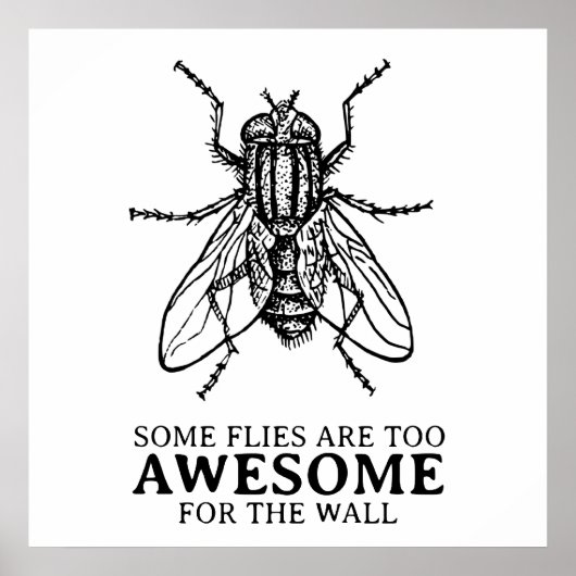 Einige Fliegen Poster (Vorne)