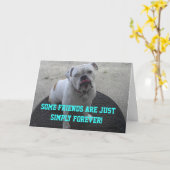 Einige Freunde sind gerade einfach für immer Karte (Gelbe Blume)