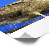 Einige Poster (Ecke)