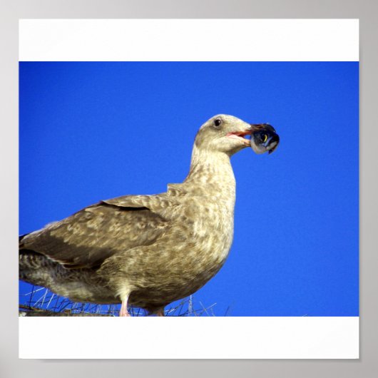 Einige Poster (Vorne)