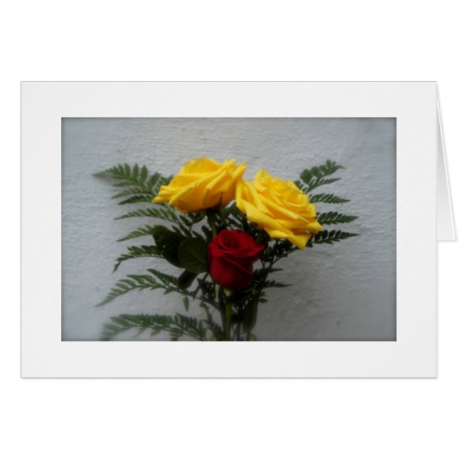 (Einige) Rose sind rot (Vorderseite (Horizontal))