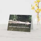 *EINIGE SONNE AUFLADEN* KEIN SCHNEE HIER BEI CHRIS KARTE (Gelbe Blume)