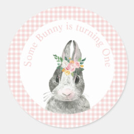 Einige Sonne ist One Bunny Pink Gingham Birthday Runder Aufkleber
