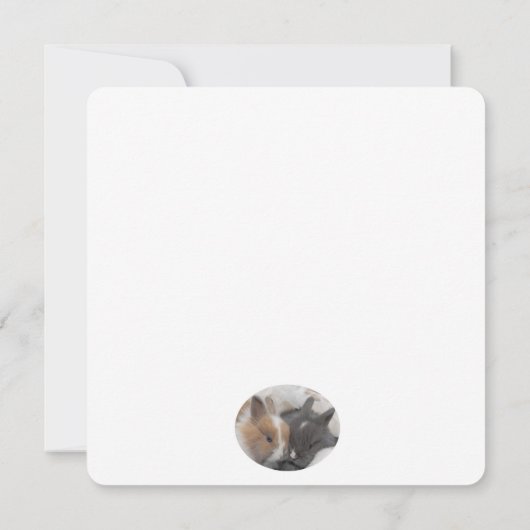 Einige sonnige Lieben (Rückseite)