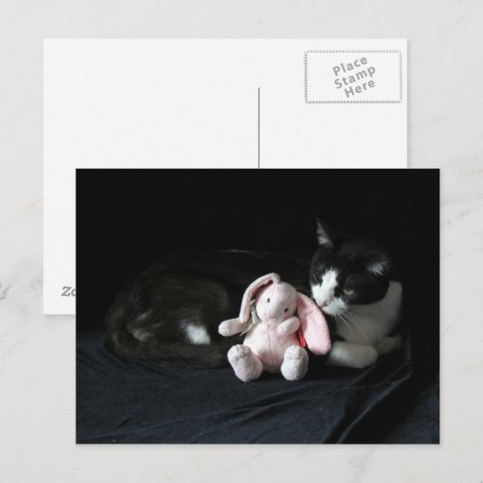 Einige sonnige Lieben las Postkarten (Vorne/Hinten)