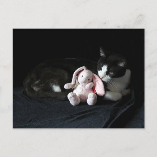 Einige sonnige Lieben las Postkarten (Vorderseite)