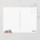 Einige sonnige Lieben Postkarte (Rückseite)