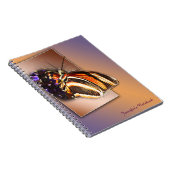 Einige Streifen anzeigen II Notizblock (Rechte Seite)