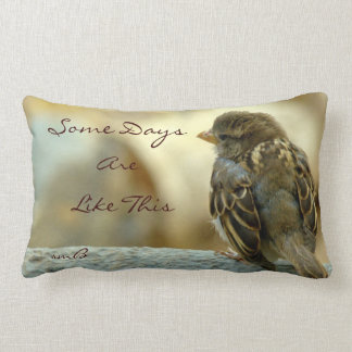 Einige Tage sind so, Designer-Kissen Lendenkissen
