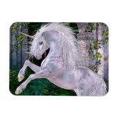 Einige verzauberte Abend Flexi Magnet (Horizontal)