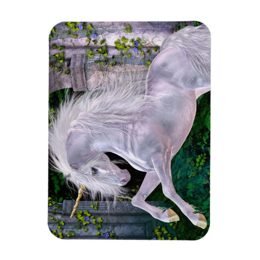 Einige verzauberte Abend Flexi Magnet (Vertikal)