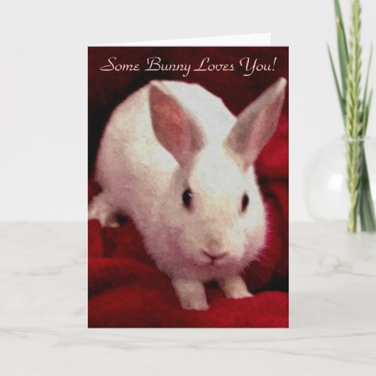 Einiges Karte Häschen-Liebensie Valentines Tages (Vorderseite)