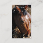 Einjährige Visitenkarten Visitenkarte (Rückseite)