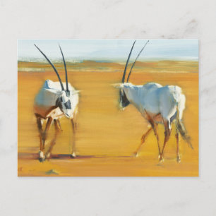 Einkreisender arabischer Oryx 2010 Postkarte