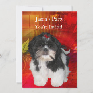 Einladen der Geburtstagsparty Shih Tzu auf Abstrak Einladung
