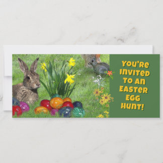 🐰 EINLADUNG