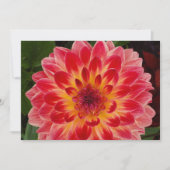 Einladung (Vorderseite)