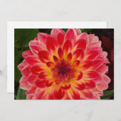 Einladung (Vorne/Hinten)