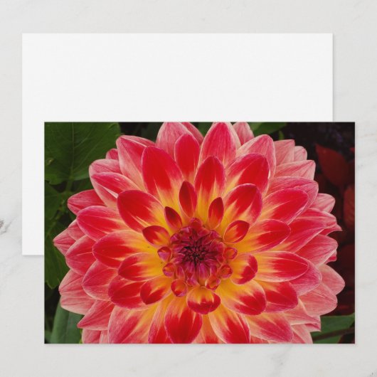 Einladung (Vorne/Hinten)